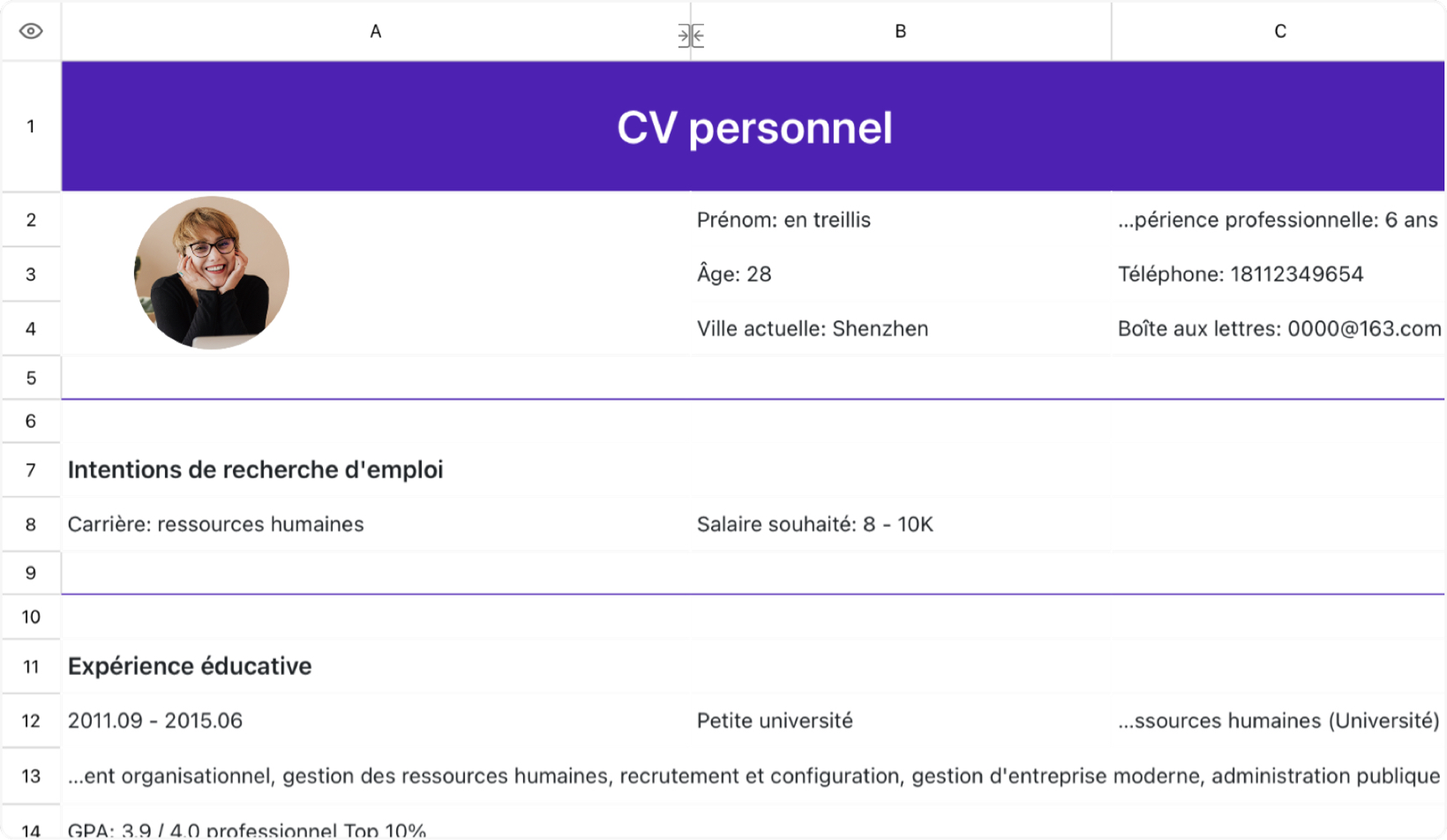 CV des ressources humaines